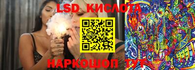 стафф Можга