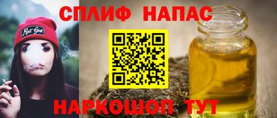 стафф Можга