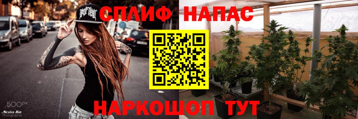 Бошки Шишки семена Соликамск